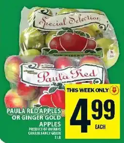 Food Basics Paula Red apples offer