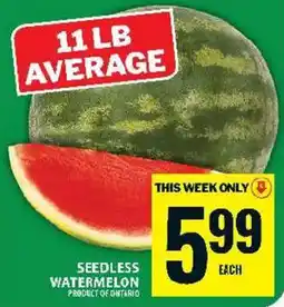 Food Basics Seedless watermelon offer