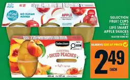 Food Basics Selection fruit cups offer
