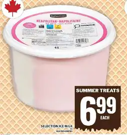 Food Basics Selection ice milk offer