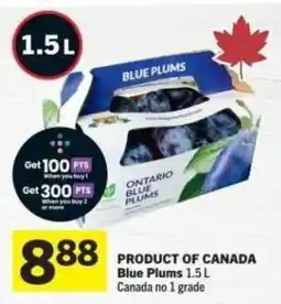 Co-op Blue Plums offer