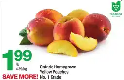 Highland Farms Ontario Homegrown Yellow Peaches offer