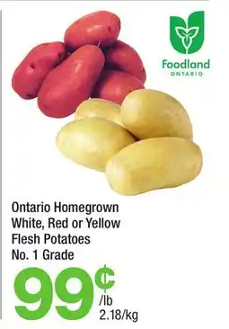 Highland Farms Ontario Homegrown White, Red or Yellow Flesh Potatoes offer