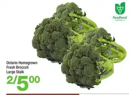 Highland Farms Ontario Homegrown Fresh Broccoli Large Stalk offer