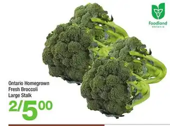 Highland Farms Ontario Homegrown Fresh Broccoli Large Stalk offer