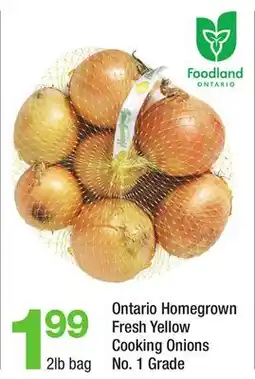 Highland Farms Ontario Homegrown Fresh Yellow Cooking Onions offer