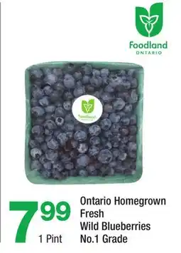 Highland Farms Ontario Homegrown Fresh Wild Blueberries offer