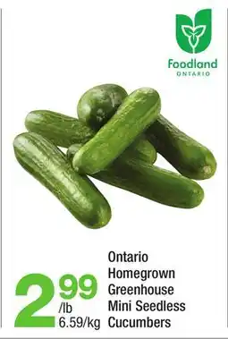Highland Farms Ontario Homegrown Greenhouse Mini Seedless Cucumbers offer
