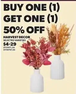 Loblaws Harvest Decor offer