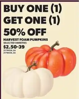 Loblaws Harvest foam pumpkins offer