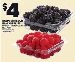 Loblaws Raspberries or Blackberries offer