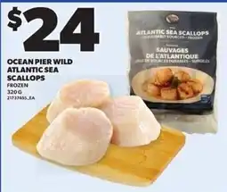 Loblaws Ocean Pier Wild Atlantic Sea Scallops offer