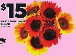 Loblaws Fiesta sunflower bunch offer
