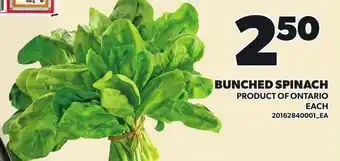 Loblaws Bunched Spinach offer