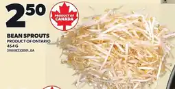 Loblaws Bean Sprouts offer