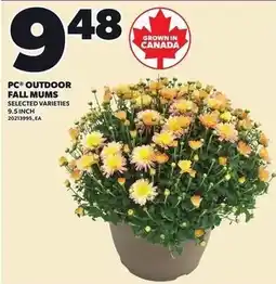 Loblaws PC outdoor fall mums offer