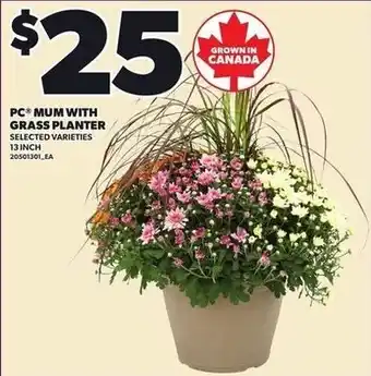 Loblaws Pc mum with grass planter offer
