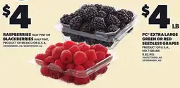 Loblaws Raspberries blackberries offer