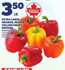 Loblaws Extra Large Orange, Red or Yellow Sweet Peppers offer