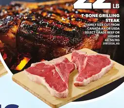 Loblaws T-bone grilling steak offer