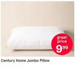 Kitchen Stuff Plus Century Home Jumbo Pillow offer