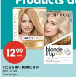 Shoppers Drug Mart FROST & TIP or BLONDE IT UP HAIR COLOUR offer