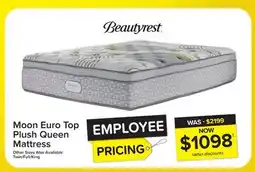 Leon's Moon Euro Top Plush Queen Mattress offer