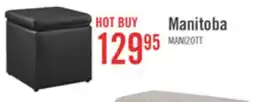 The Brick Manitoba 18 Square Faux Leather Storage Ottoman - Black offer
