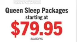 The Brick Masterguard Bamboo Queen Mattress Protector with 2 Queen Pillows offer