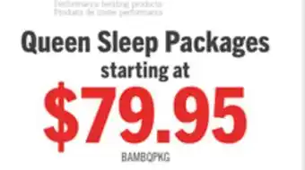 The Brick Masterguard Bamboo Queen Mattress Protector with 2 Queen Pillows offer