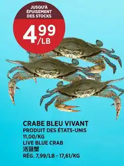 Kim Phat LIVE BLUE CRAB offer