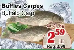 Marche C&T Buffalo Carp offer