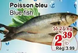 Marche C&T Blue fish offer