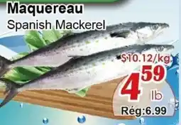 Marche C&T Maquereau Spanish Mackerel offer
