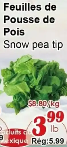 Marche C&T Snow pea tip offer