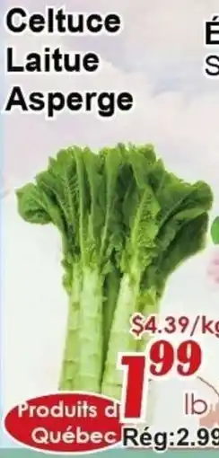 Marche C&T Celtuce Laitue Asperge offer