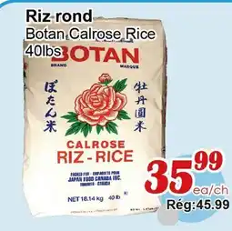 Marche C&T Riz rond Botan offer