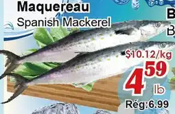 Marche C&T Spanish Mackerel offer