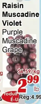 Marche C&T Raisin Muscadine Violet offer
