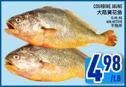 Marché Lian Tai COURBINE JAUNE offer