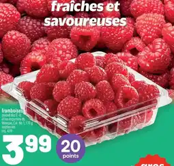 Metro framboises offer
