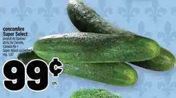 Metro Super Select cucumber offer