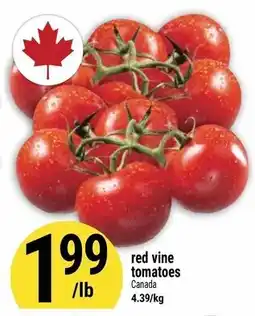 Marché Adonis red vine tomatoes offer