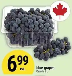 Marché Adonis blue grapes offer