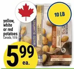 Marché Adonis yellow white or red potatoes offer
