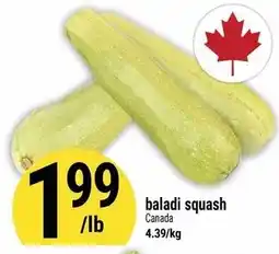 Marché Adonis baladi squash offer