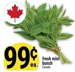 Marché Adonis fresh mint bunch offer