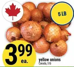 Marché Adonis yellow onions offer