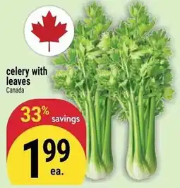 Marché Adonis celery with leaves offer