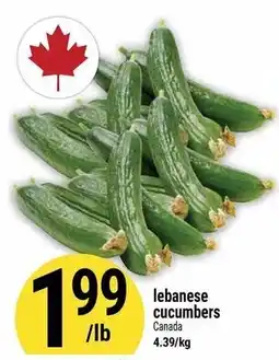 Marché Adonis lebanese cucumbers offer